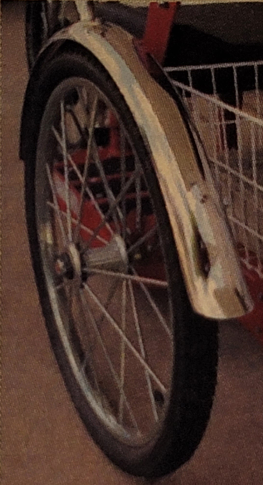 Rear fender option