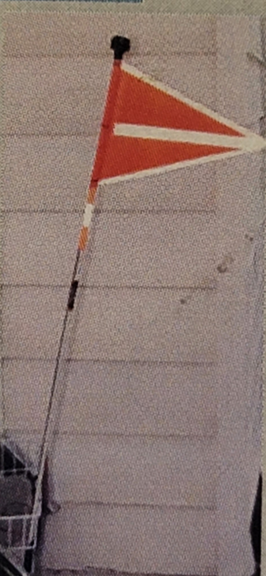Safety flag with blinker